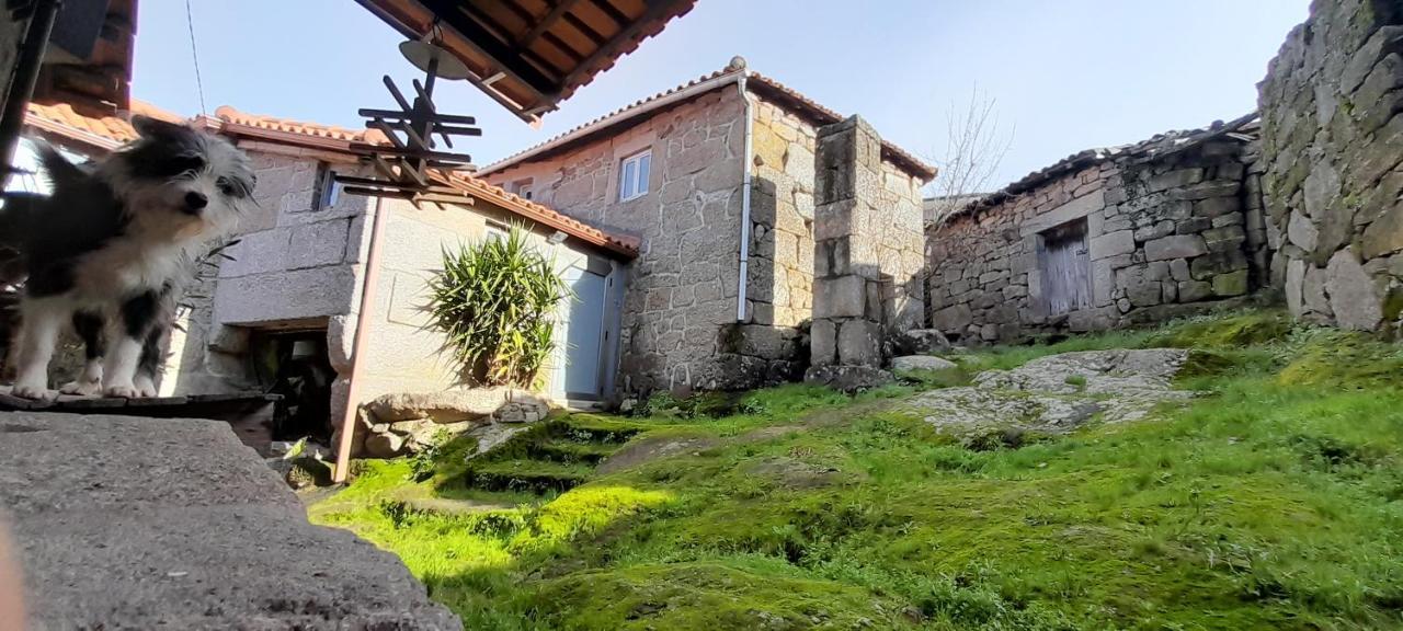 Casa Padre Manuel Do Couto Villa Vila Pouca de Aguiar Eksteriør billede
