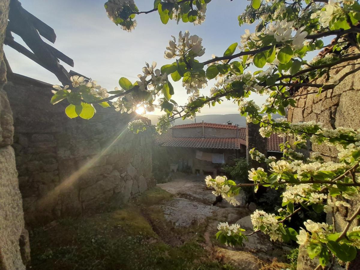 Casa Padre Manuel Do Couto Villa Vila Pouca de Aguiar Eksteriør billede