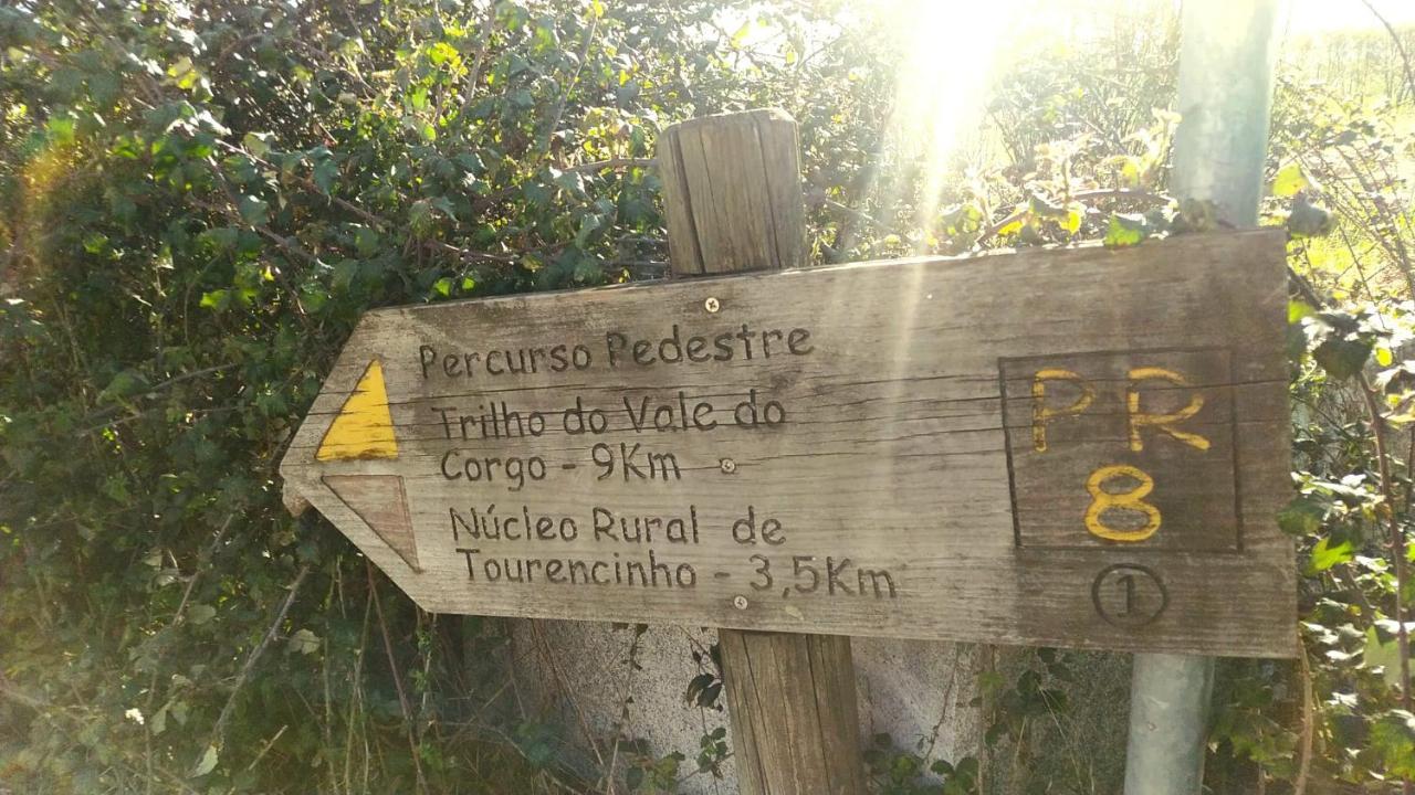 Casa Padre Manuel Do Couto Villa Vila Pouca de Aguiar Eksteriør billede