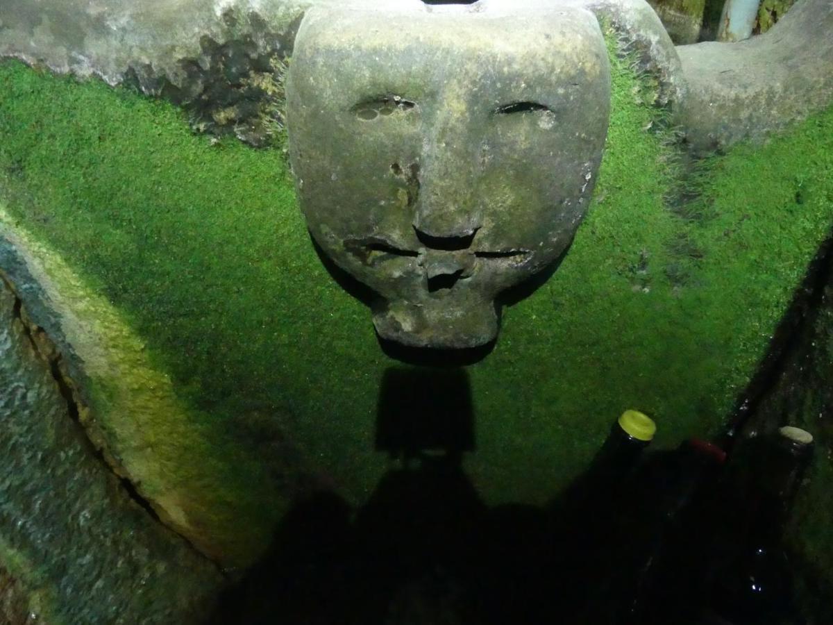Casa Padre Manuel Do Couto Villa Vila Pouca de Aguiar Eksteriør billede